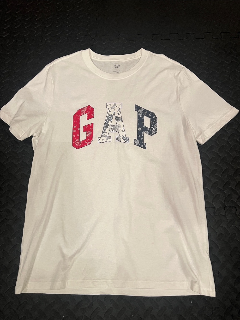 GAP Paisley Logo Tee Shirt